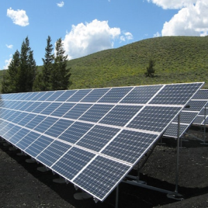 solar panels on a hill with evergreen trees